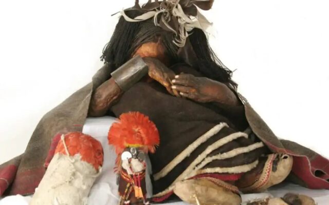 Hành Trình Đáng Sợ Của Đứa Trẻ Inca Trước Lễ Hiến Tế