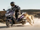 SYM JEPARDO 300: Mẫu Maxi-Scooter Đột Phá Cạnh Tranh Honda SH350i