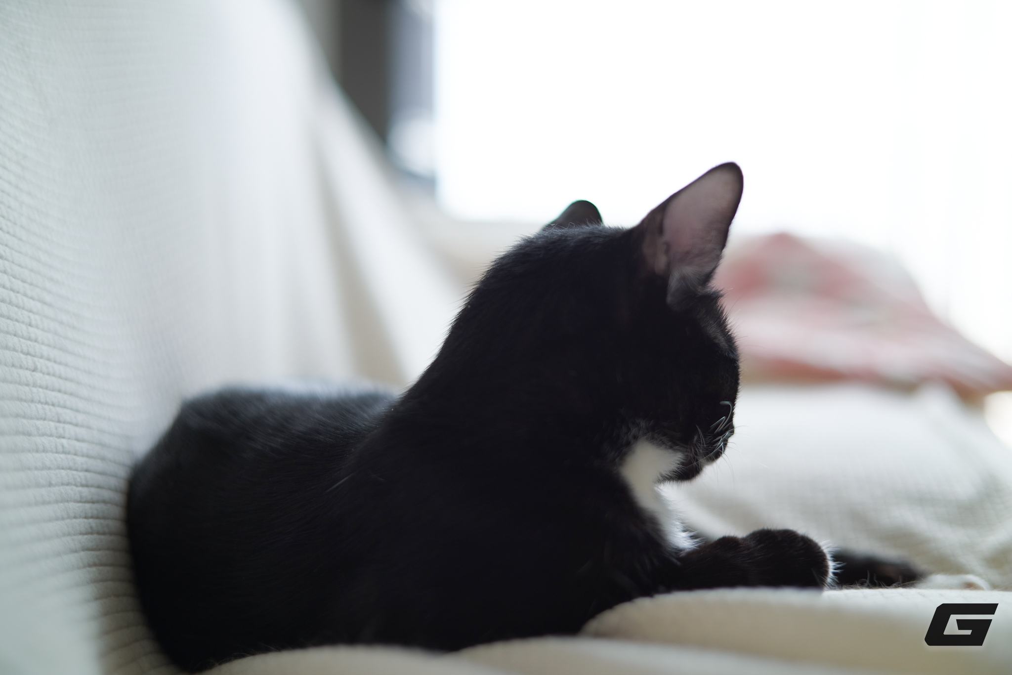 Hiệu ứng bokeh từ TTArtisan AF 50mm F1.8 Neo Hiệu ứng bokeh từ TTArtisan AF 50mm F1.8 Neo