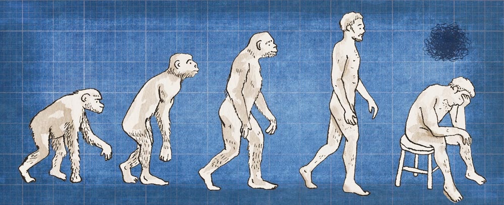 evolution-1787372945830-1787372946612879985528
