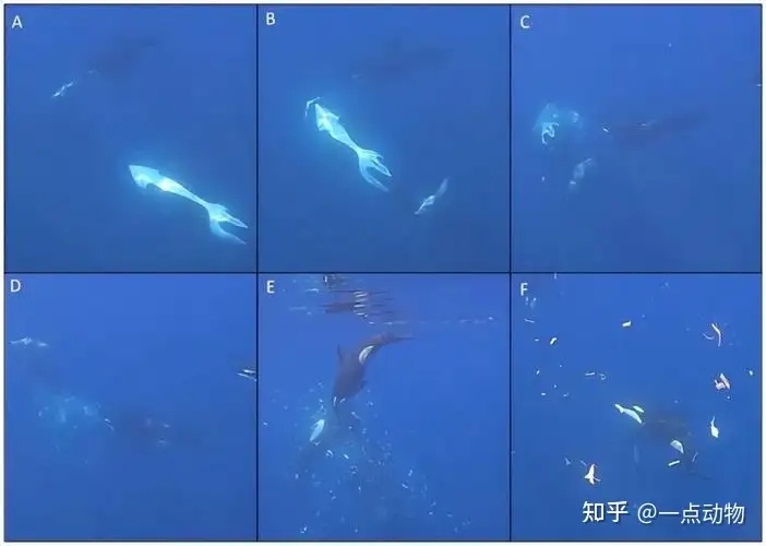 v2-c7359de7e7ac15004d52c145c10dc-1785388620966-1785388621107322089886
