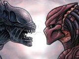 Nguồn gốc mối thù giữa Predator và Xenomorph: khi nền văn hóa thợ săn tạo ra kẻ thù hoàn hảo