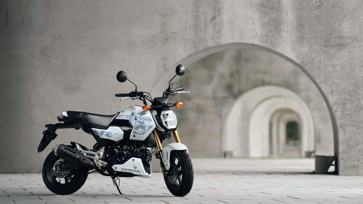 MSX GROM 2027: Phiên bản rằn ri trắng gây chú ý với trang bị sáng giá trên thân hình nhỏ gọn