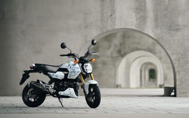 MSX GROM 2027: Phiên bản rằn ri trắng gây chú ý với trang bị sáng giá trên thân hình nhỏ gọn